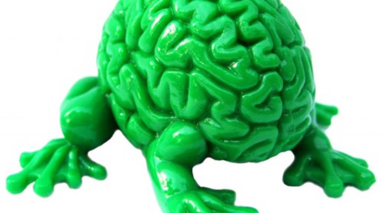 jumping-brain-green.jpg